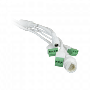 20211125145309_detalle1