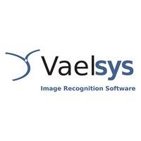 cctv_vaelsys_video_analysis_model_v4-lprs-001